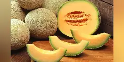 Cantaloupes sold in multiple US states recalled over salmonella contamination concerns