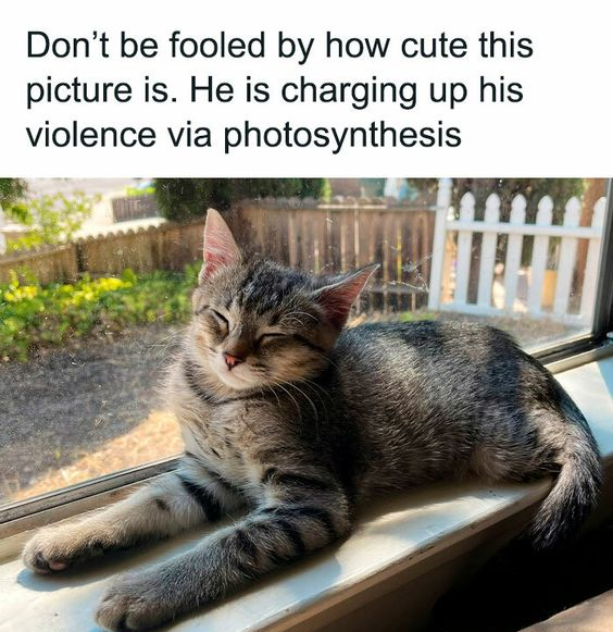 charging up violence