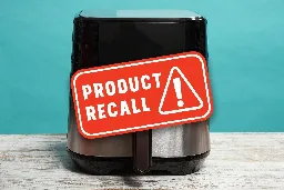 This Popular Air Fryer Is Being Recalled—Here's What We Know