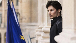 Telegram chief Durov denounces his arrest in France as 'misguided'