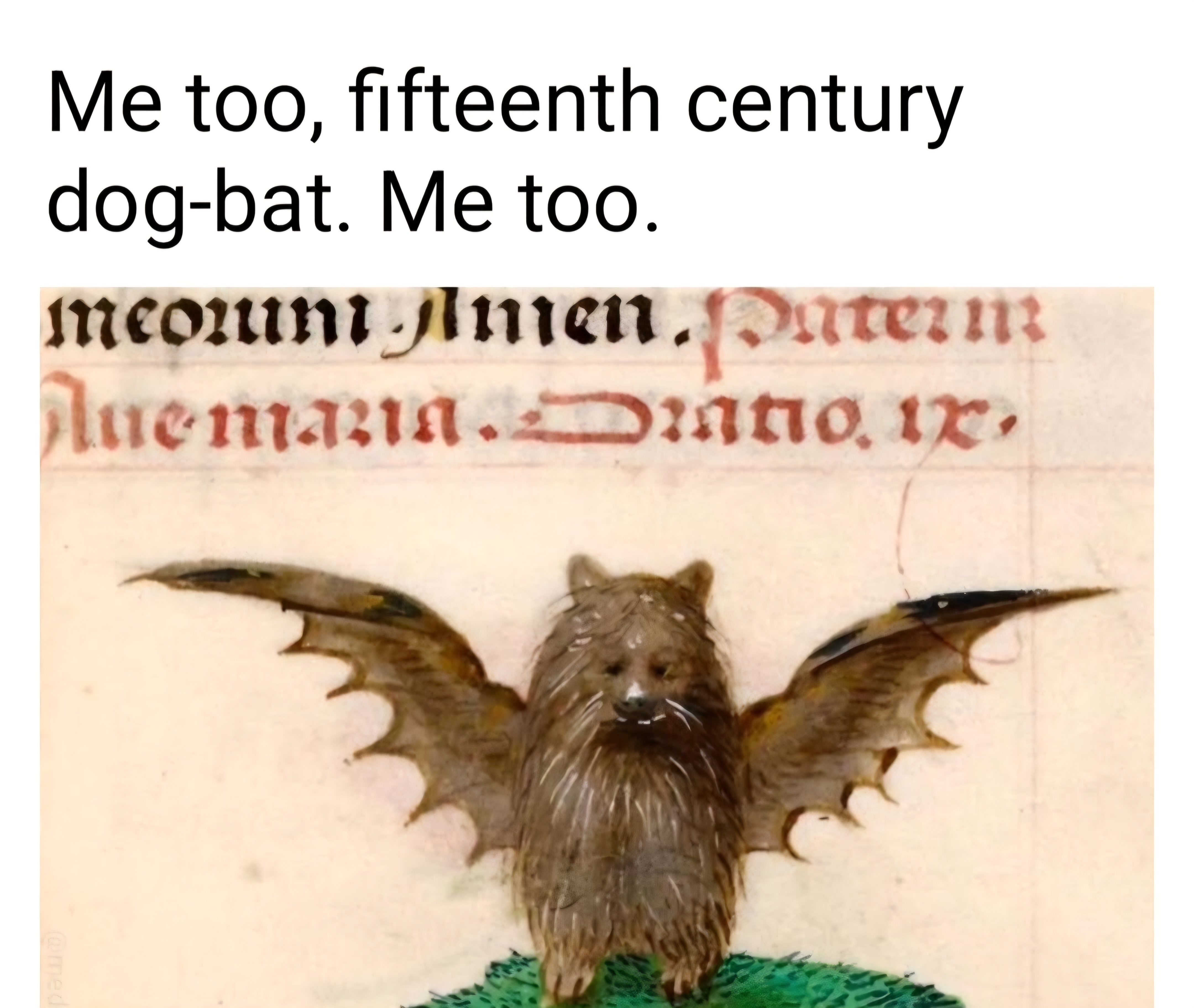 Spirit animal