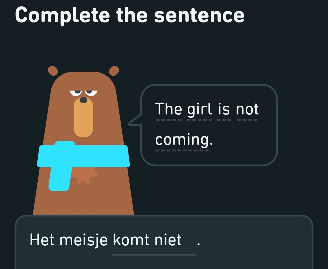 The girl is not coming.

Het meisje komt niet.