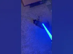 Gidgit Cares Not About Lightsabers