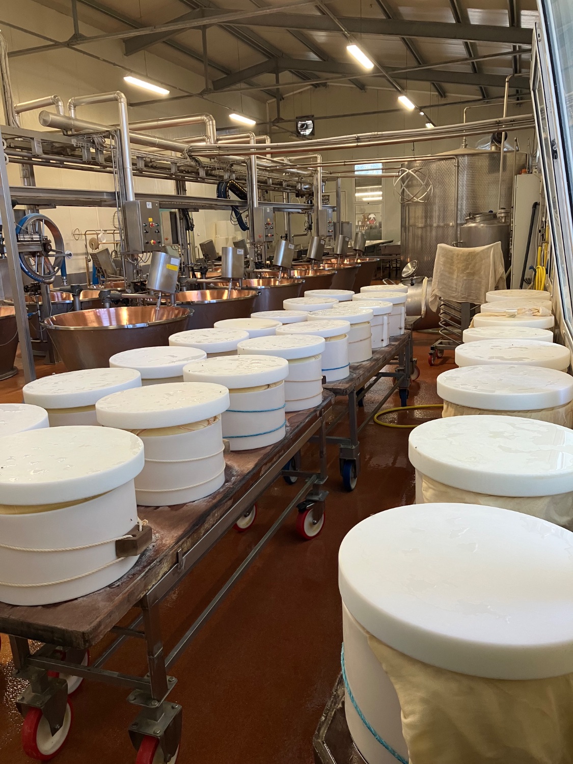 Fresh into the molds