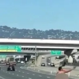 CRAZY VIDEOS on Instagram: "Naked California woman arrested near San Francisco Bay Bridge after shooting at cars 😳"