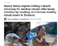 If you go to monkey attack beach you may suffer a monkey attack because monkeys frequent monkey attack beach